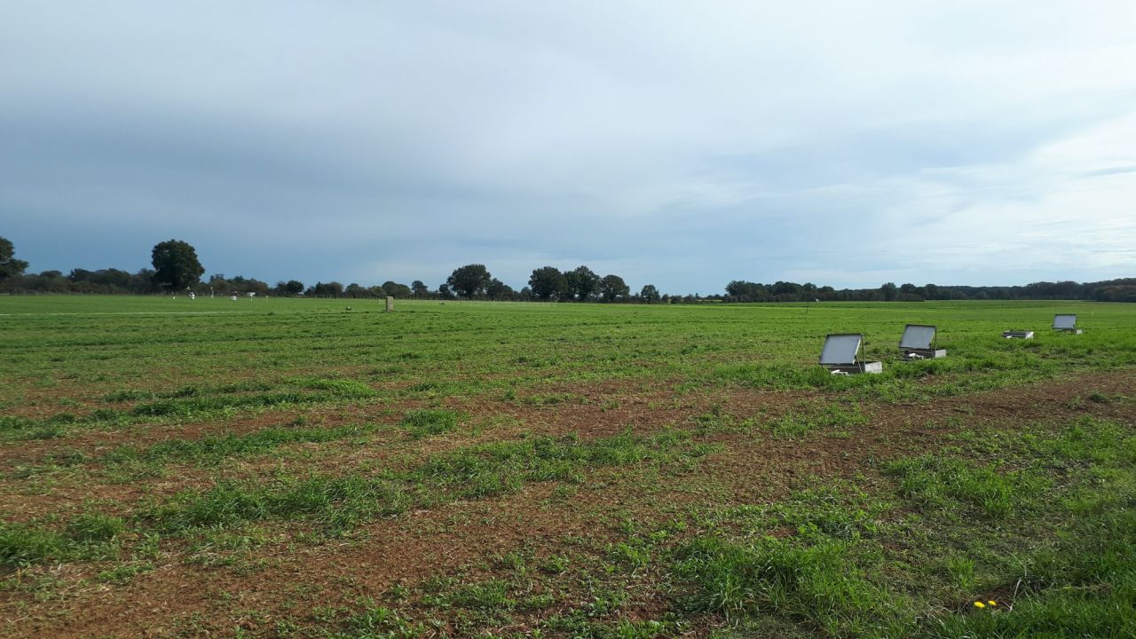 Expérimentation in natura acbb Lusignan