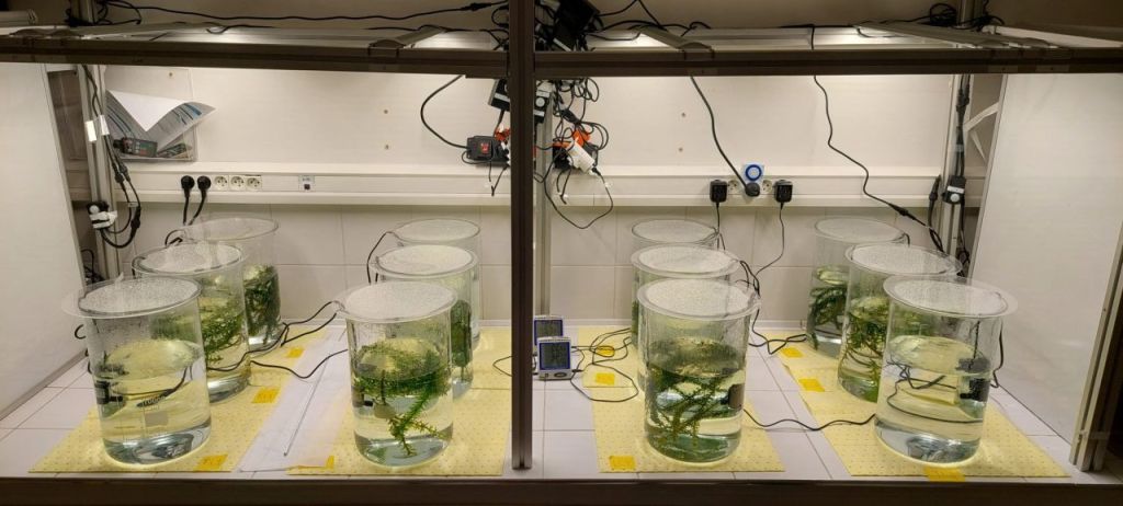 XPO: eXPerimentation and Observation on Aquatic Ecosystems