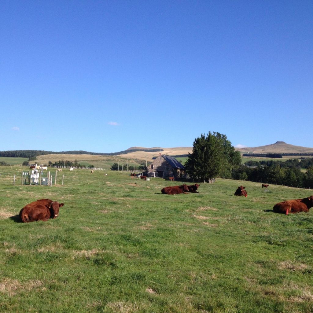 laqueuille : relationships between management practices and the properties of agroecosystems
