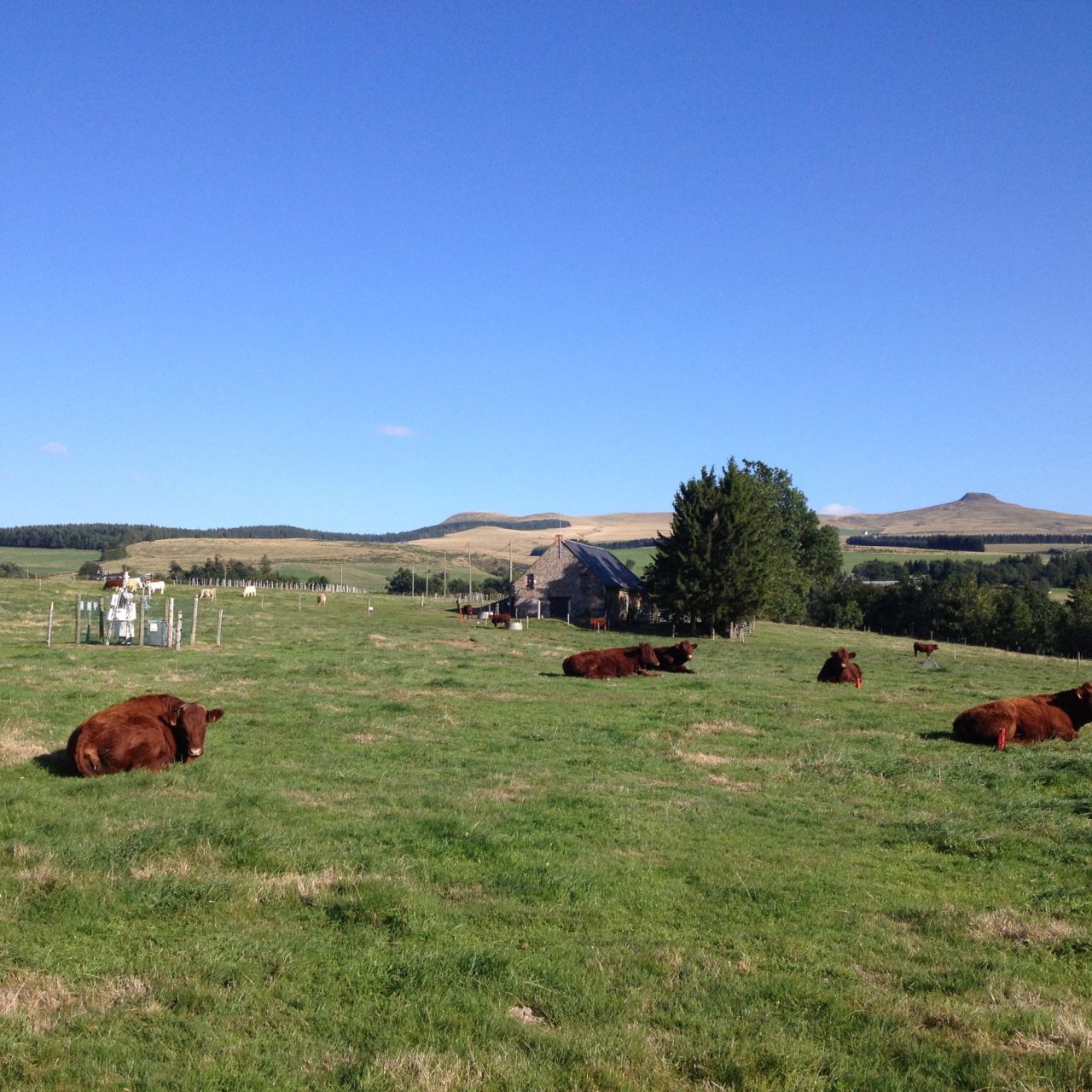 laqueuille : relationships between management practices and the properties of agroecosystems