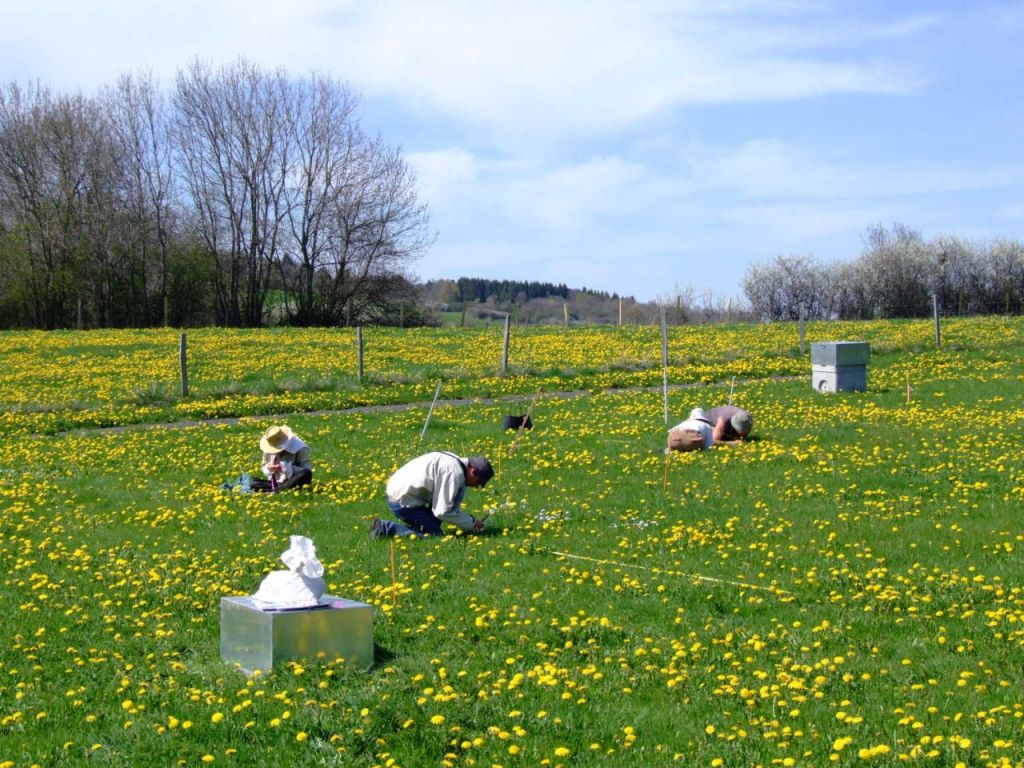 The Theix site aims to conduct long-term analysis of the relationships between management practices, community dynamics, and ecosystem services