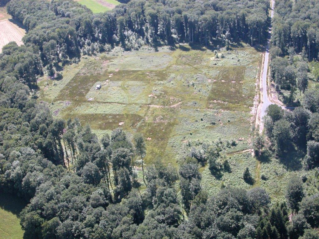 Azerailles : Study of the impact of compaction in forest environments on regeneration, biogeochemical cycles and biodiversity