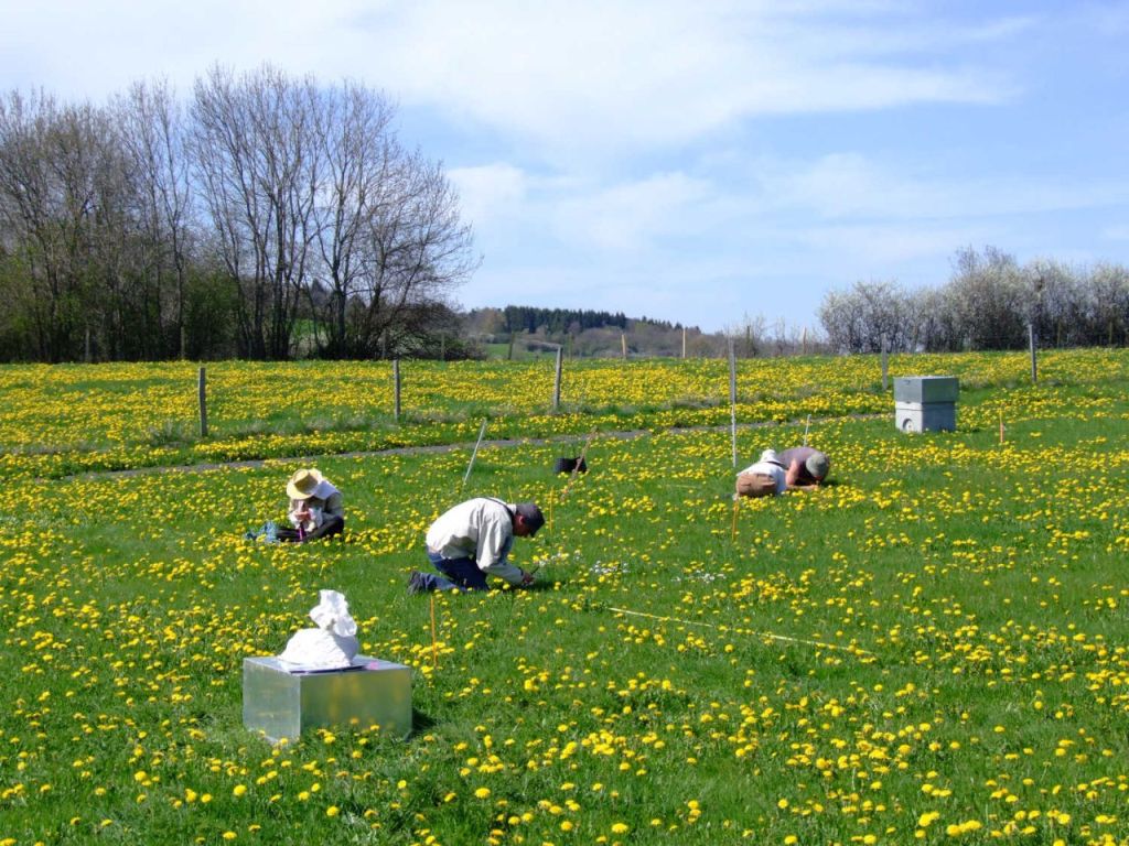 in natura experimentation agrosystem Theix