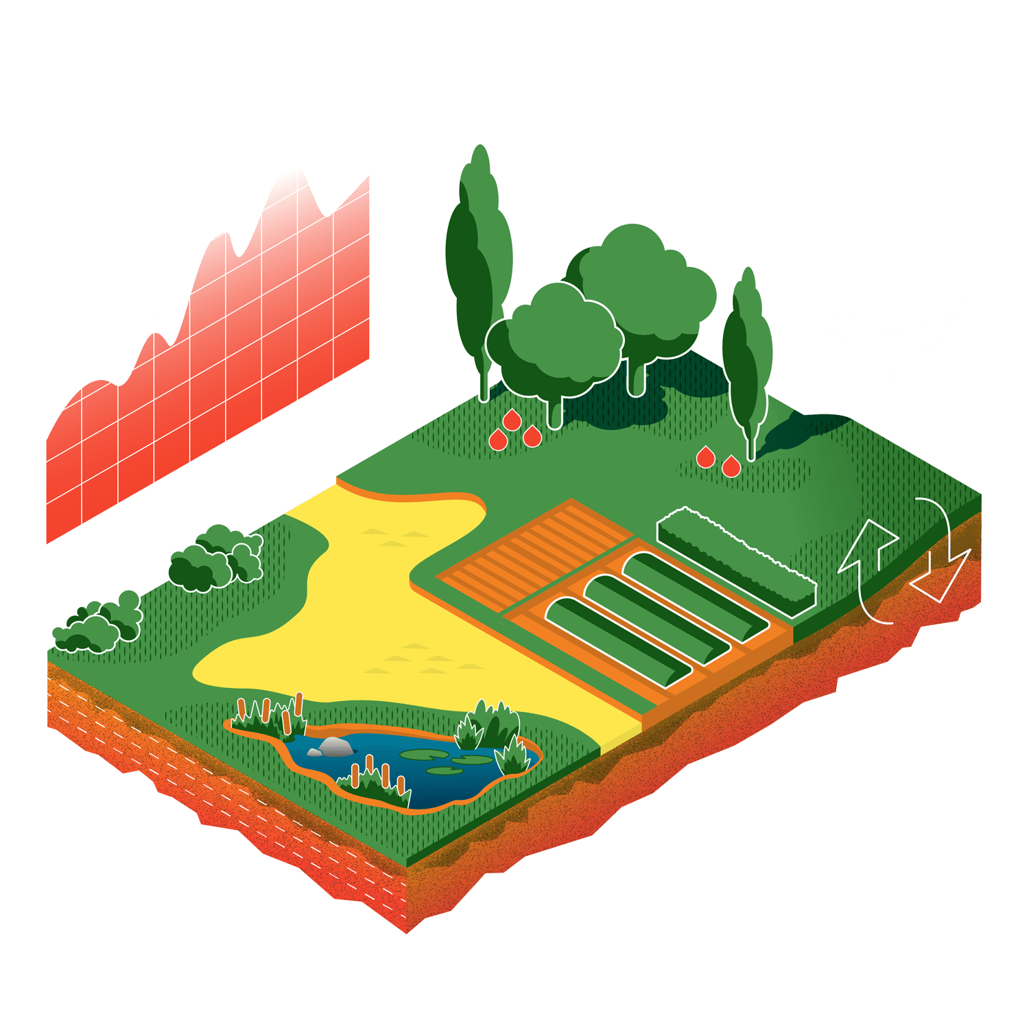 Anaee France ecosystem illustration by par Jocelyn Duluc