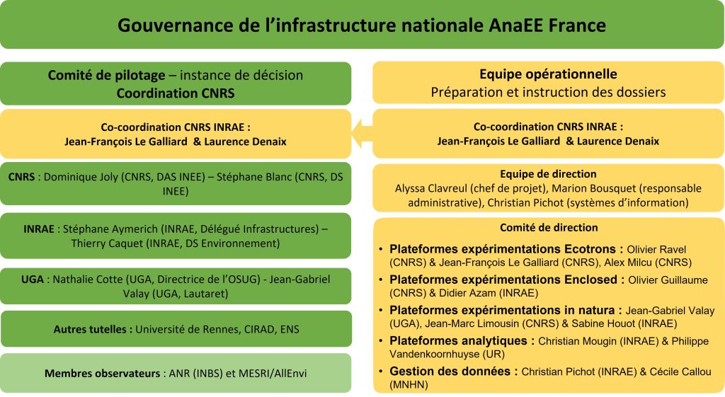 Schéma de la gouvernance d'AnaEE France