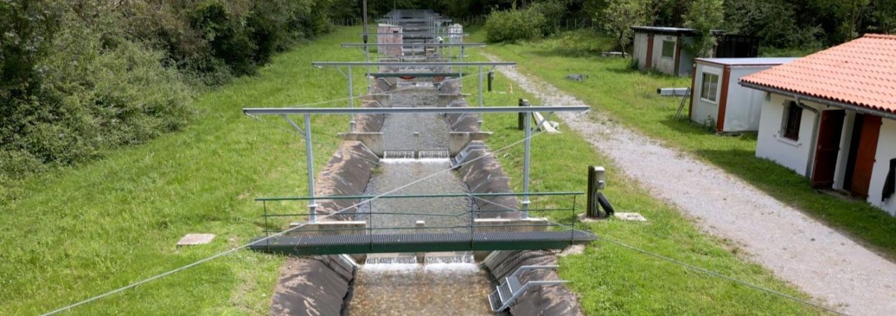 Écologie Comportementale des Poissons